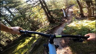 THREE BIRDS | Black trail | Whistler