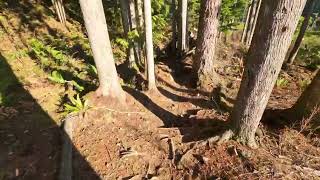 2023 Nov 25 - McNutt - Pallet Trail