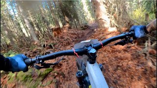 Stage 4 | SUN PEAKS BIKEPARK Canadian Enduro...