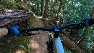 FEVER CAT | Black trail | Whistler