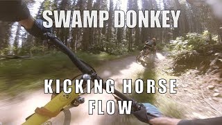 Swamp Donkey // Jump Trail // Kicking Horse...