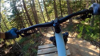 CAT SCRATCH LEFT | Black trail | Whistler
