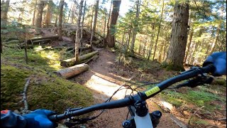 BIG TIMBER | Blue trail | Whistler