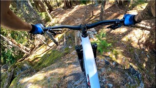 BUSH DOCTOR | Double black trail | Whistler