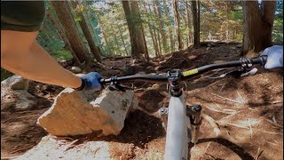 SABERTOOTH HORSE | Black trail | Closing...
