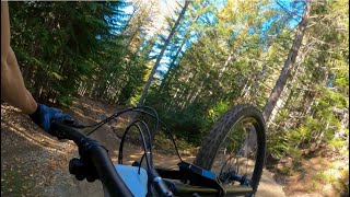 SHAKE AND BAKE | Black trail | Closing...