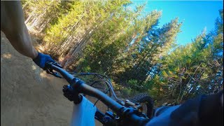 INSOMNIA | Black trail | Closing Whistler...