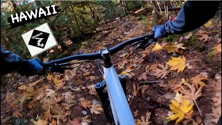 HAWAII | Black trail | Pemberton