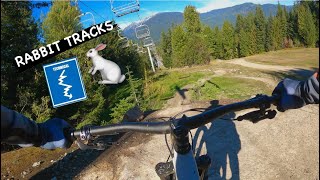 RABBIT TRACKS | Blue trail | Whistler