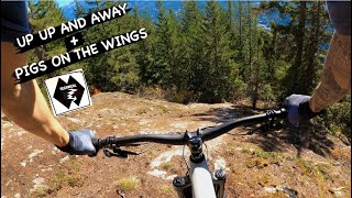 UP UP AND AWAY + PIGS ON THE WINGS | Double...
