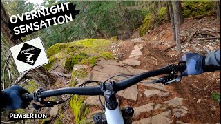 OVERNIGHT SENSATION | Black trail | Pemberton