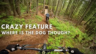 Shredding one of Revelstoke's Best Trails and...