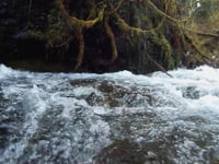 Icy Creek Ride