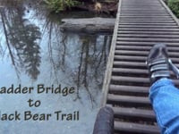 Ladder Bridge in 2013
