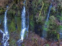 Descent to Waterfall Springs