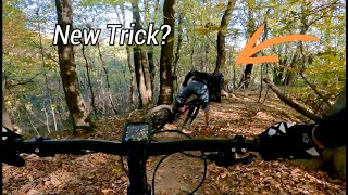 MTB Montello Raw | The Classics