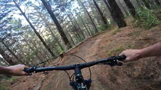 Handle the Jandal @ Woodhill MTB Park. Auckland