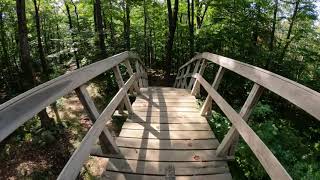 Rabbit Hole - Killington Bike Park