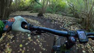 PECORA  - Veio Bike Park Formello (RM)