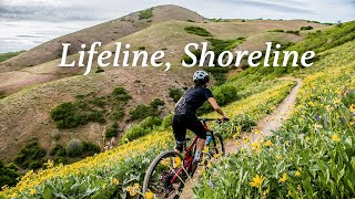 Lifelife, Shoreline | Connecting the...