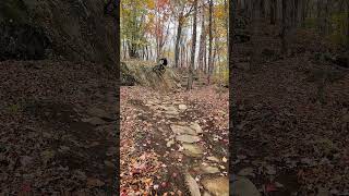 Natural Wall Ride #mountainbike #mtb...