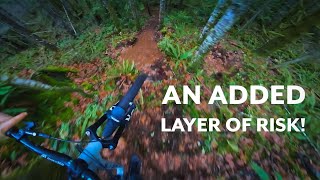 Rowdy Solo Descent!! New Trail Entrance! Dig...
