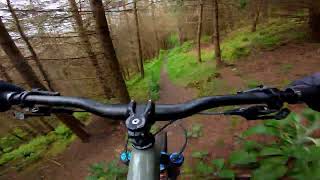 Rostrevor mtb