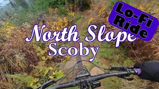 Scoby, North Slope at Capitol State Forest