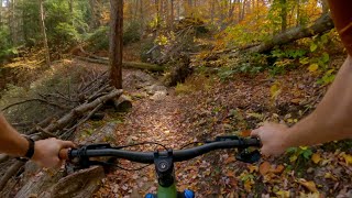 Seneca | Deerfoot (Jakes Rocks) / Warren, PA / MTB