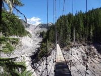 Tahoma Creek Trail and Suspension Bridge