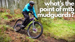 Does the best MTB mudguard actually make a...