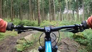 Stone Garden (red) - single track, mtb trail -...