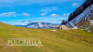 ACOMIZZA / PULCINELLA 2023