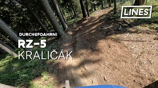 RZ-5 - Trail & Enduro Park Kraličák  | LINES