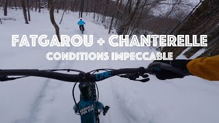 La Fatgarou et Chanterelle - en condition...