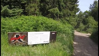 Windhill Bike Park Downhill Day - 24 Jun 18 -...