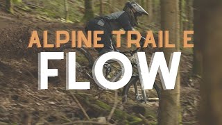 Alpine Trail E Flow