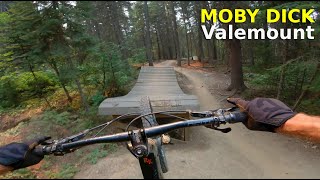 Moby Dick | Valemount Bike Park, BC
