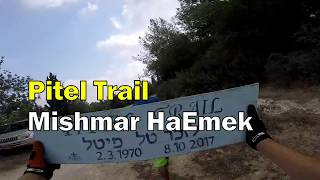 משיקים את סינגל פיטל, על...