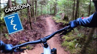 CARDRONA | Blue trail | Squamish - Alice Lake