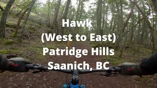 Hawk (West to East) at Partridge Hills,...