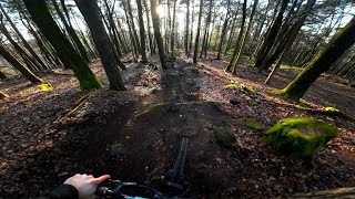 Abschlussrunde Trailpflegetag Pfalzbiker e.V....