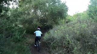 Linxs Repo Cactus Cooler MTB #rider #bike