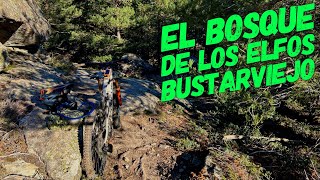 ‍♂️ El Bosque de los Elfos ‍♂️ |...