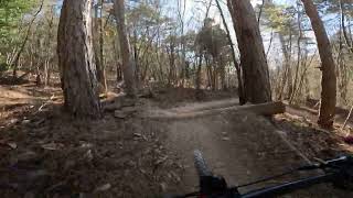 Toboga di Canova part 2 2023, Finale Ligure