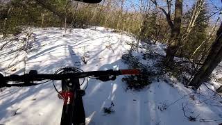 scenic root december 21 2023