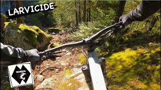 LARVICIDE | Double black trail | Squamish -...