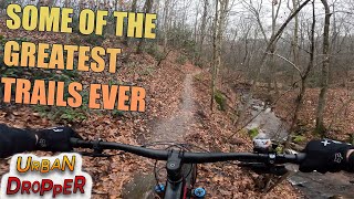 Birdsboro Preserve Cloudy Christmas Eve Ride