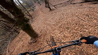 FALLEN LEAVES  | Madeira MTB