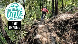 DMT post DME - Not so lazy Sunday laps at THE...